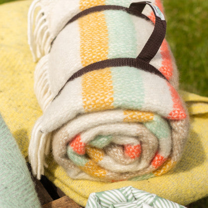 Polo Picnic Rug- Illusion Stripe Spring